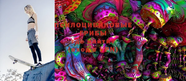 гидропоника Бородино
