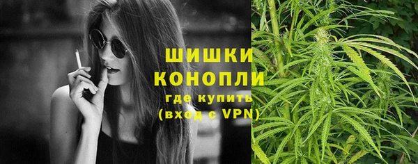 гидропоника Бородино