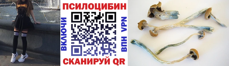 Псилоцибиновые грибы мицелий Нижнекамск